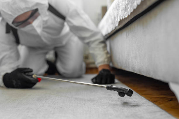 Professional Bed Bug Control technician working in Milliken, CO